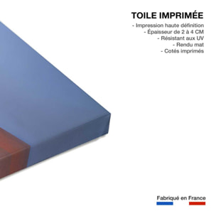 Tableau de Namibie, Le deadvlei Toile imprimée