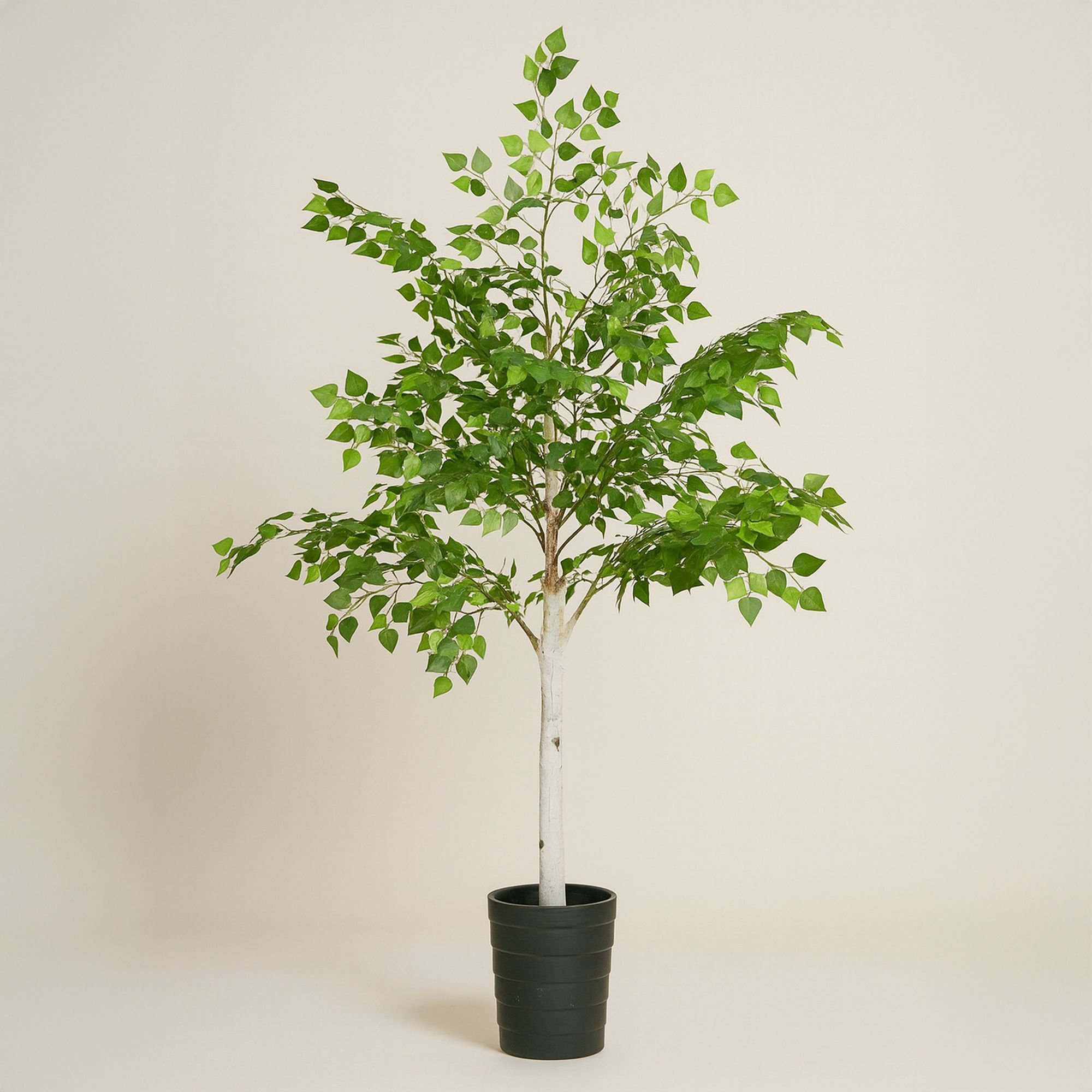 Bouleau artificiel FRAY