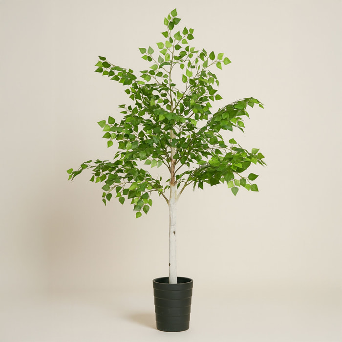 Bouleau artificiel FRAY