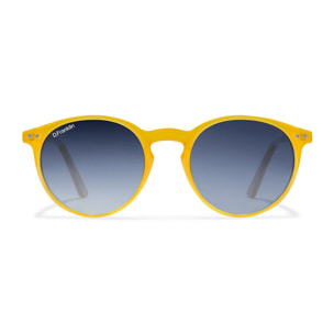 Gafas de Sol Ultra Light Max Honey / Grad Blue D.Franklin