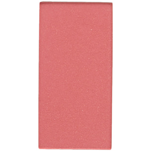 Recharge Blush à Aimanter - Fard Multi-usages 5g Certifié Bio
