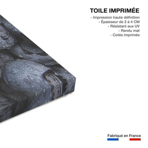 Tableau fruit cure de cassis  Toile imprimée