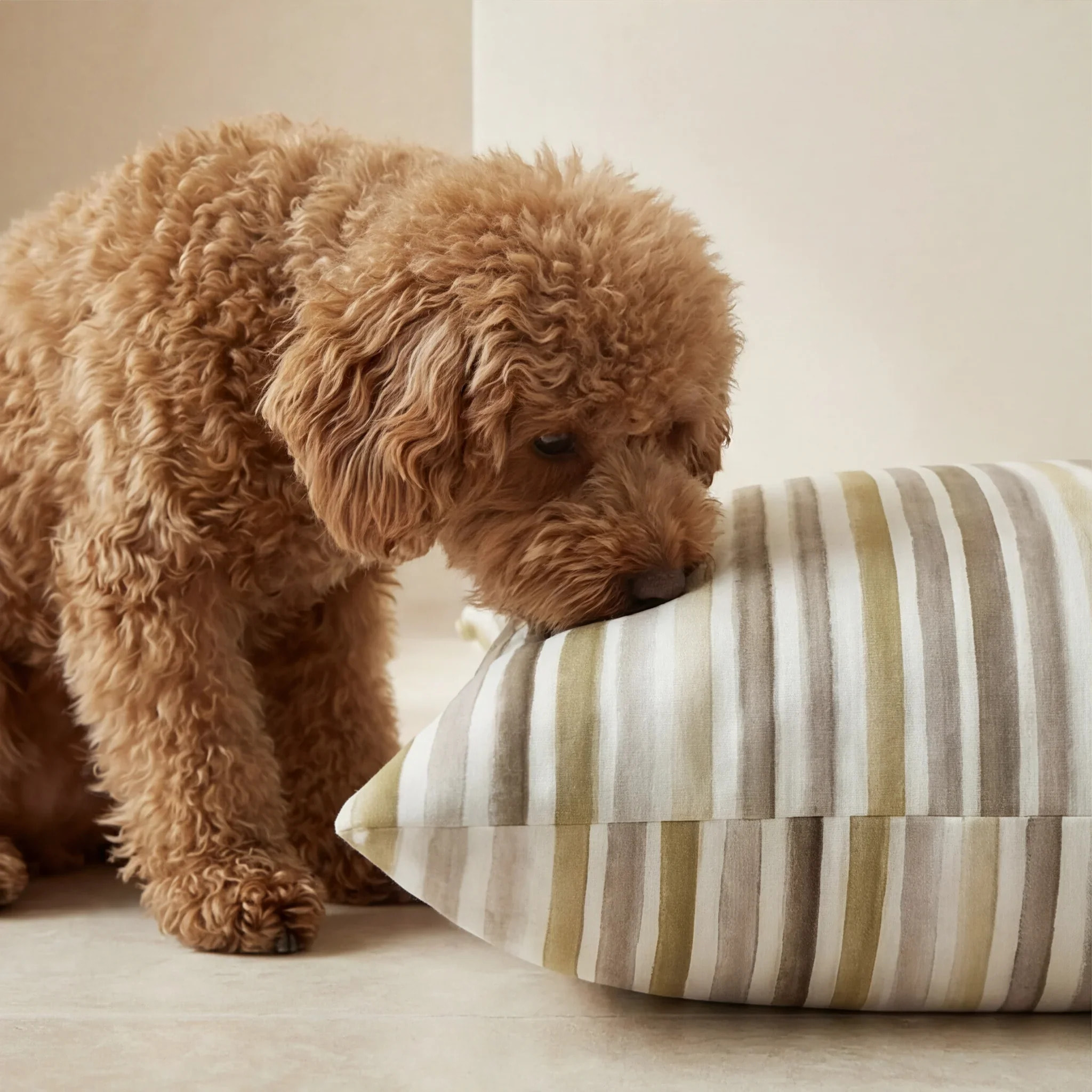 Lit pour animaux déhoussable et antitaches 0120-421