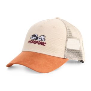 Gorra Peanuts x Hydroponic