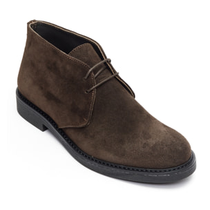 Chukka boot British Passport Marrone