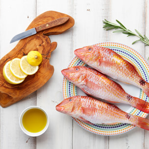 Lot de 2 pinces à arêtes 9,5 cm FM Professional Divers