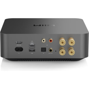 Amplificateur HiFi WIIM amp pro