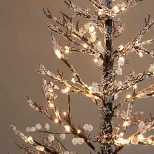 Larice - Pezzi 1 - 70xH120x70cm - Bianchi Dino SpA