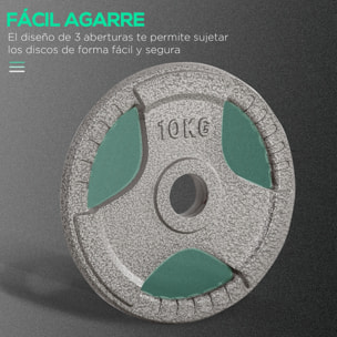 Juego de 6 Discos de Pesas de Acero 2,5-10 kg con Peso Total de 35 kg Discos Olímpicos con Orificio Central de Ø54 mm para Entrenamiento en Casa Gimnasio Plata