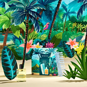 Moana - Coffret Huile Cheveux 30ml + Peigne Démêlant