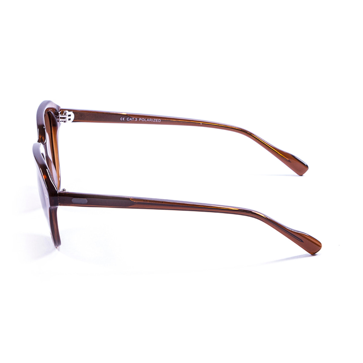 Gafas de sol LENOIR CASSIS - Marrón oscuro transparente / Marrón