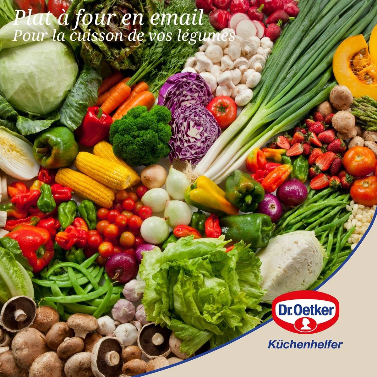 Ensemble de 2 Plats à four avec couvercle en acier émaillé 42 x 34 cm Dr. Oetker Back-Idee Kreativ
