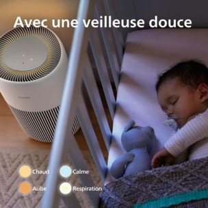 Purificateur d'air PHILIPS AC2220/10