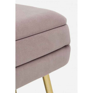 PANCA CONTENITORE PAVLINA MAUVE 80X38X42 cm