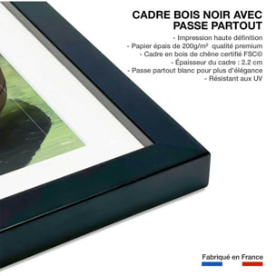 Affiche enfant paresseux à la pêche  Affiche + cadre en bois - Noir