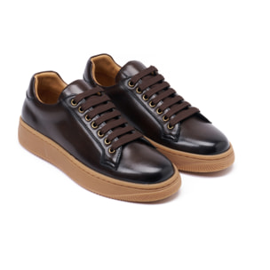 Sneaker British Passport Testa di Moro