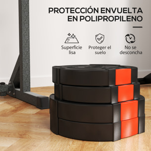 Juego de Discos Pesas de 4 Piezas Discos de Pesas Total 30 kg 2x10 kg 2x5 kg con Orificios de 2,5 cm para Entrenamiento Fitness en Hogar Gimnasio Negro