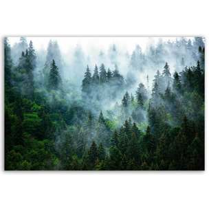 Tableau forêt brumeuse et pins majestueux Toile imprimée