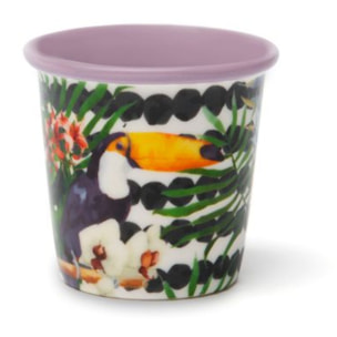 Set 6 Bicchierini Caffè Excelsa – Tropical Chic, New Bone China Multicolore