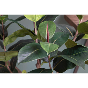 Ficus Rubber Con 65 Foglie. Altezza 180 Cm - Pezzi 1 - 35X180X35cm - Colore: Verde - Bianchi Dino - Piante Artificiali