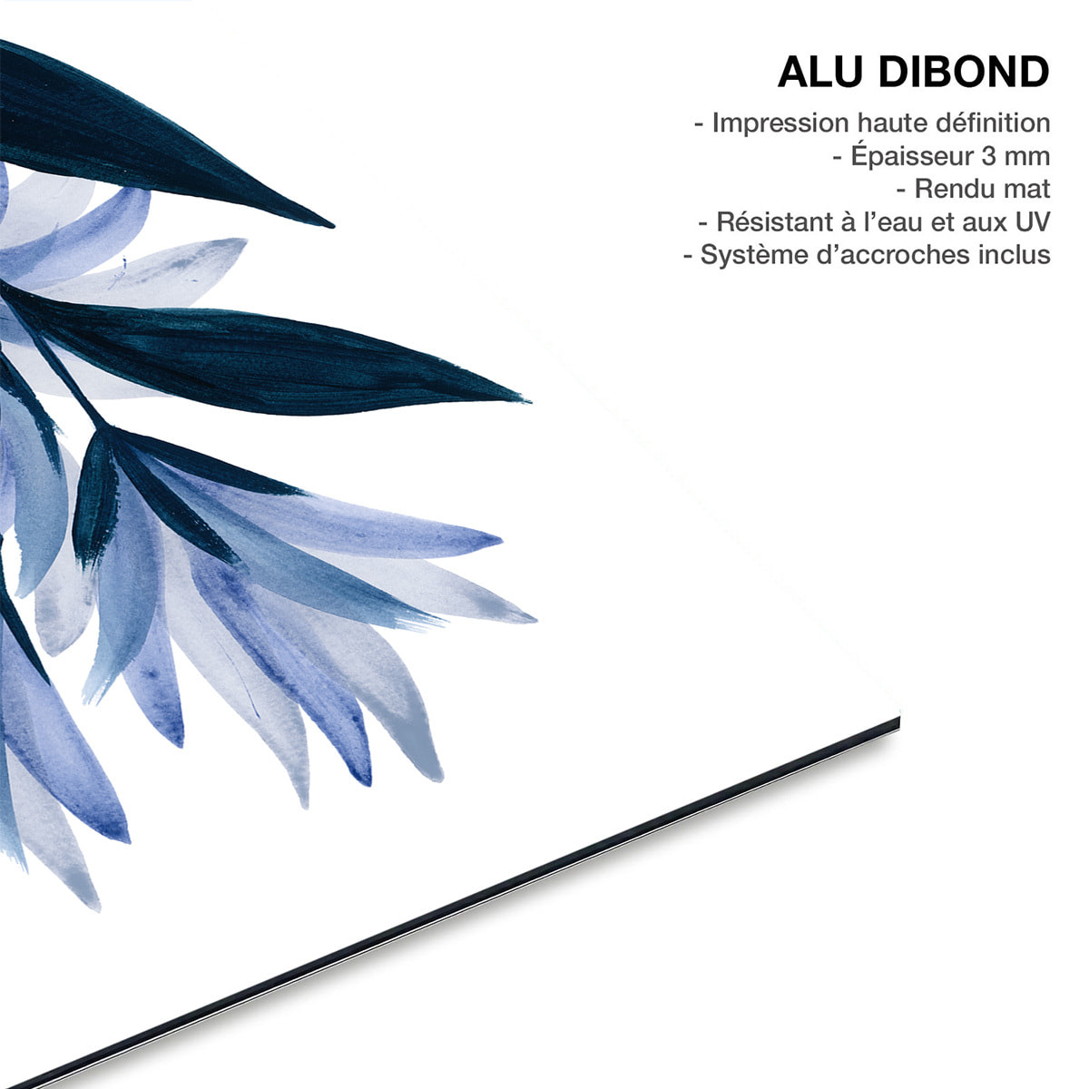 Tableau contemporain fleurs Affiche fleurs bleuets Tableau alu Dibond