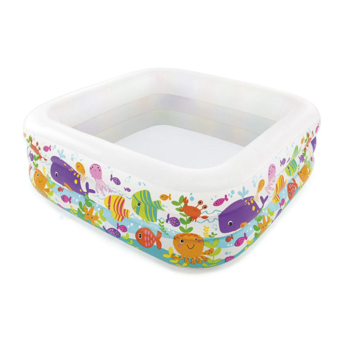 Intex Piscina Acquario, Colori Assortiti, 159x159x50 cm