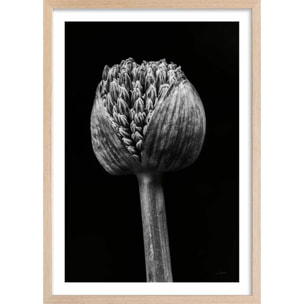 Poster tropical spring palm Affiche + cadre en bois - Chêne