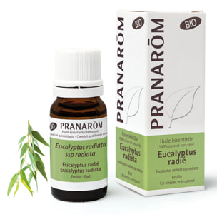 Pranarom - Huile Essentielle d'Eucalyptus radié - Bio - 10 ml