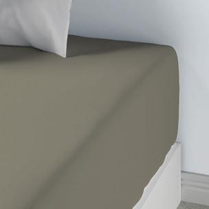 Drap Housse Coton 57fils Uni - Bonnet 35cm cedre