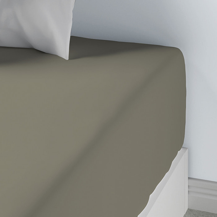 Drap Housse Coton 57fils Uni - Bonnet 35cm cedre