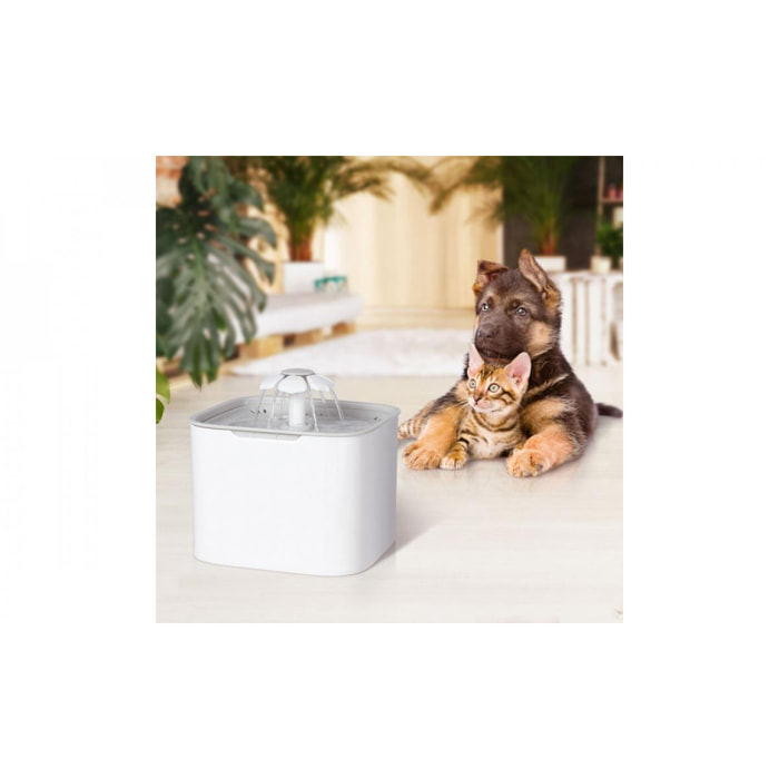 Fontaine à eau 2L pour chien et chat
