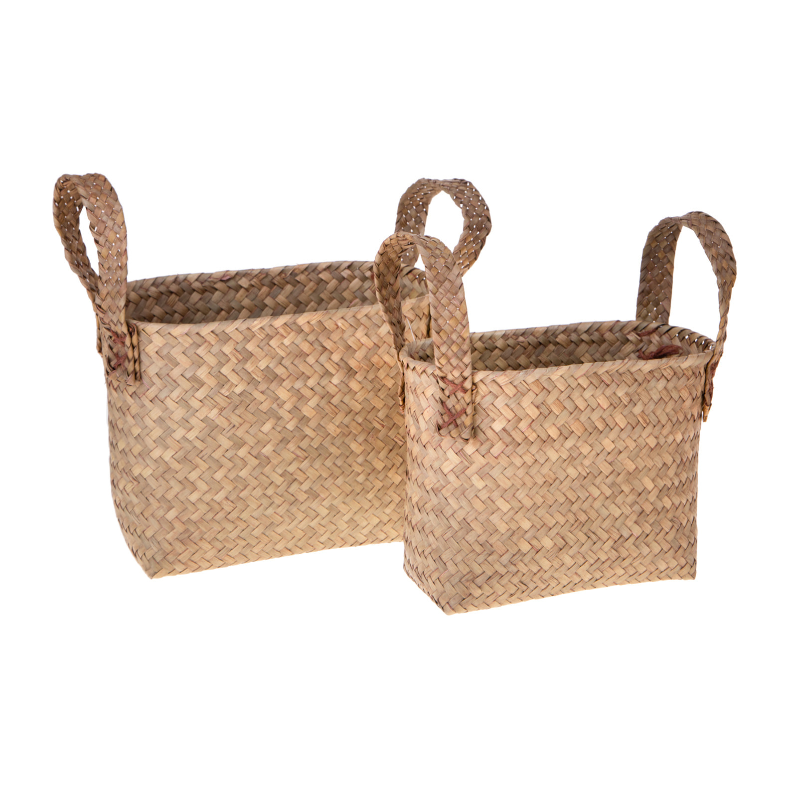 Ramo Di Camelia. Altezza 60 Cm - Pezzi 1 - 27X20X14cm - Colore: altro - Bianchi Dino - Cesteria