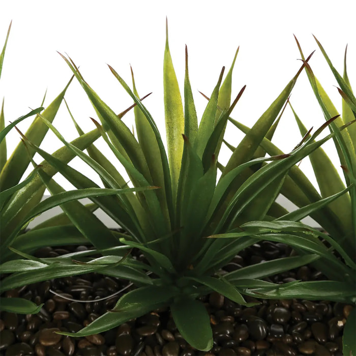 Centre de table "Keiko" 3 aloe vera artificielle blanc H17cm