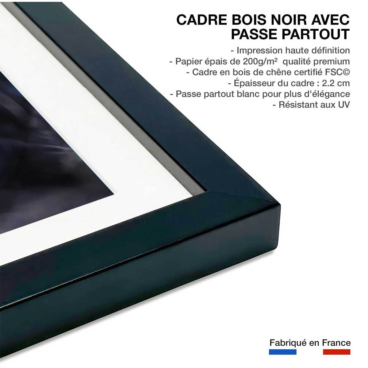 Poster animaux La petite étoile d' equateur Affiche sous cadre noir