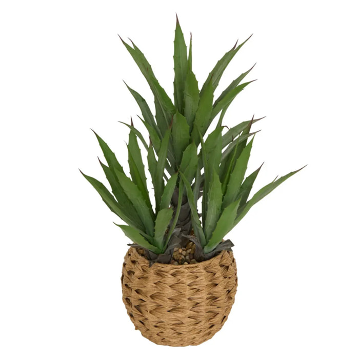Agave artificiel Moda H.61cm vert