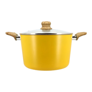 Faitout 24cm avec revêtement céramique jaune - tous feux COLORAMA