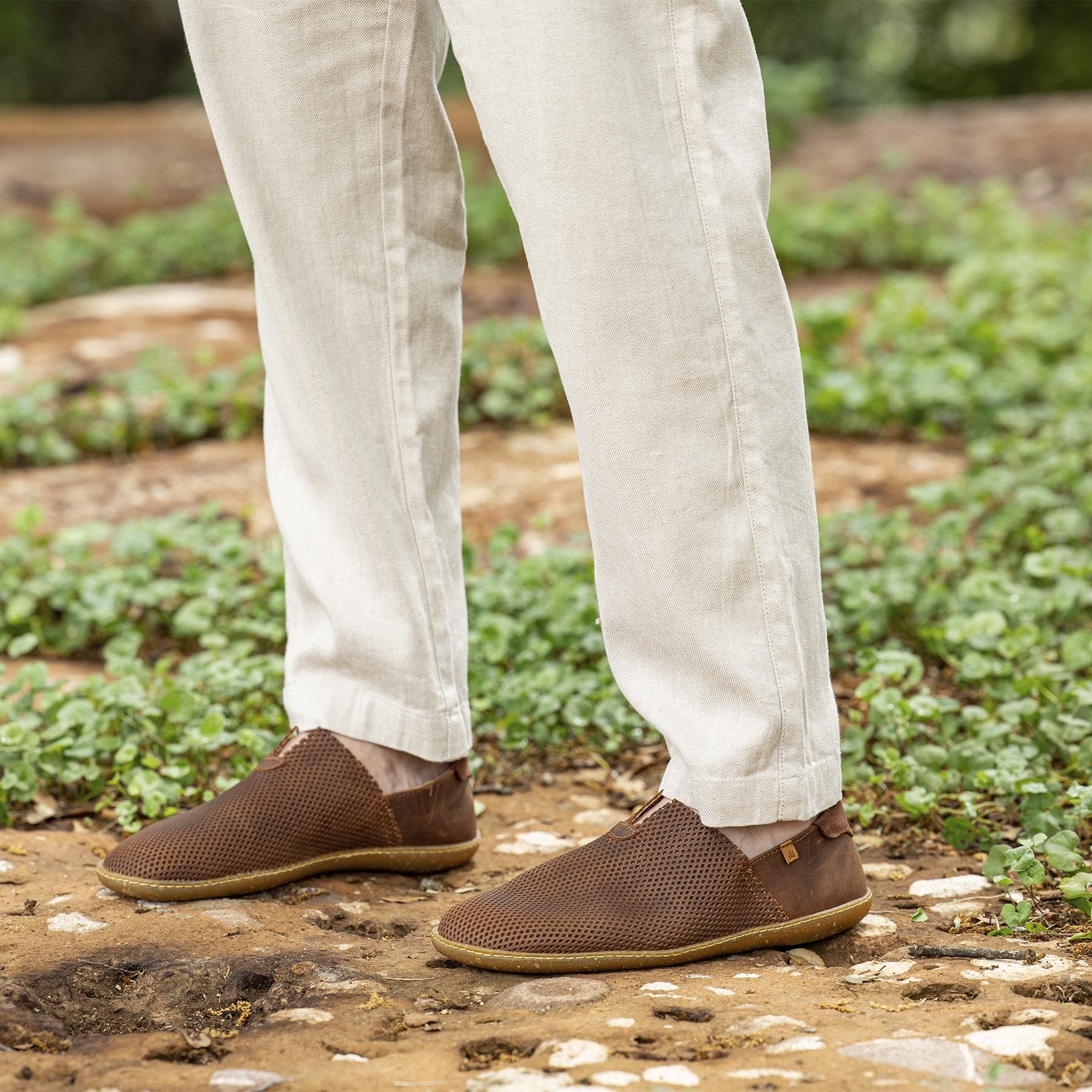 Zapatos N275R ARIZONA PERFORADA MOSTAZA/EL VIAJERO color Mostaza