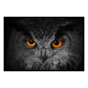Affiche encadrée – Hibou aux yeux orange, regard hypnotique Affiche + cadre en métal - Noir