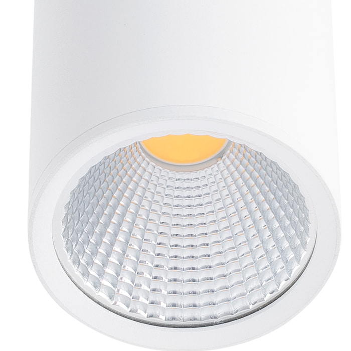 REL 100 Plafonnier blanc