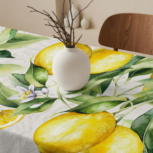 Nappe anti-taches 100% coton Damiano