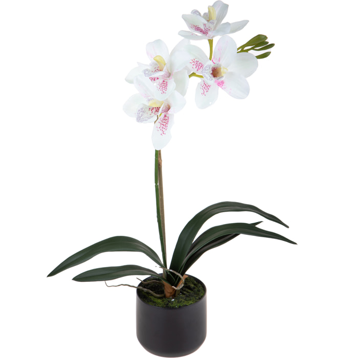 Orchidea Cymbidium Con 1 Diramazione In Vaso. Altezza 48 Cm - Pezzi 1 - 25X48X25cm - Colore: Rosa - Bianchi Dino - Piante Artificiali