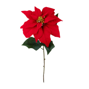 Stella natale - Pezzi 12 - ROSSO - Bianchi Dino SpA
