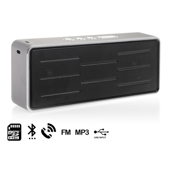 Altavoz bluetooth con radio FM WSA-8606