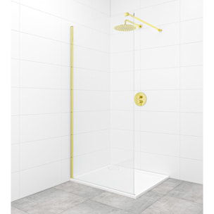Walk-in 70x200cm Paroi en verre Crystal Glass® 8 mm anticalcaire, avec bras et profilés or (SATBWI70PRZ)