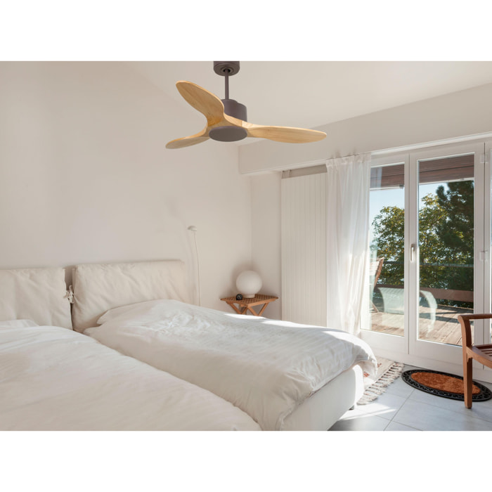 Ventilateur de plafond ø106 cm avec Wifi Réversible Hypersilence 40   W Chocolat