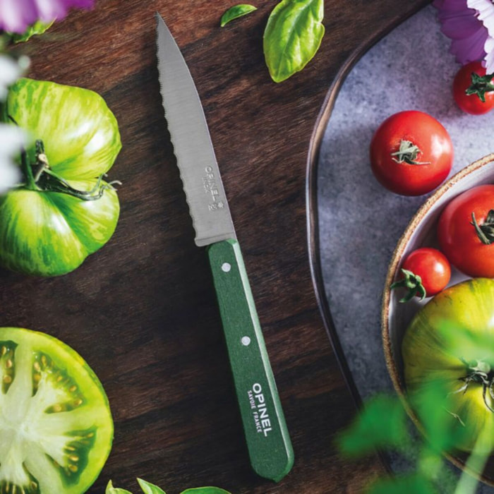 Couteau d'office OPINEL Crante Kaki N113
