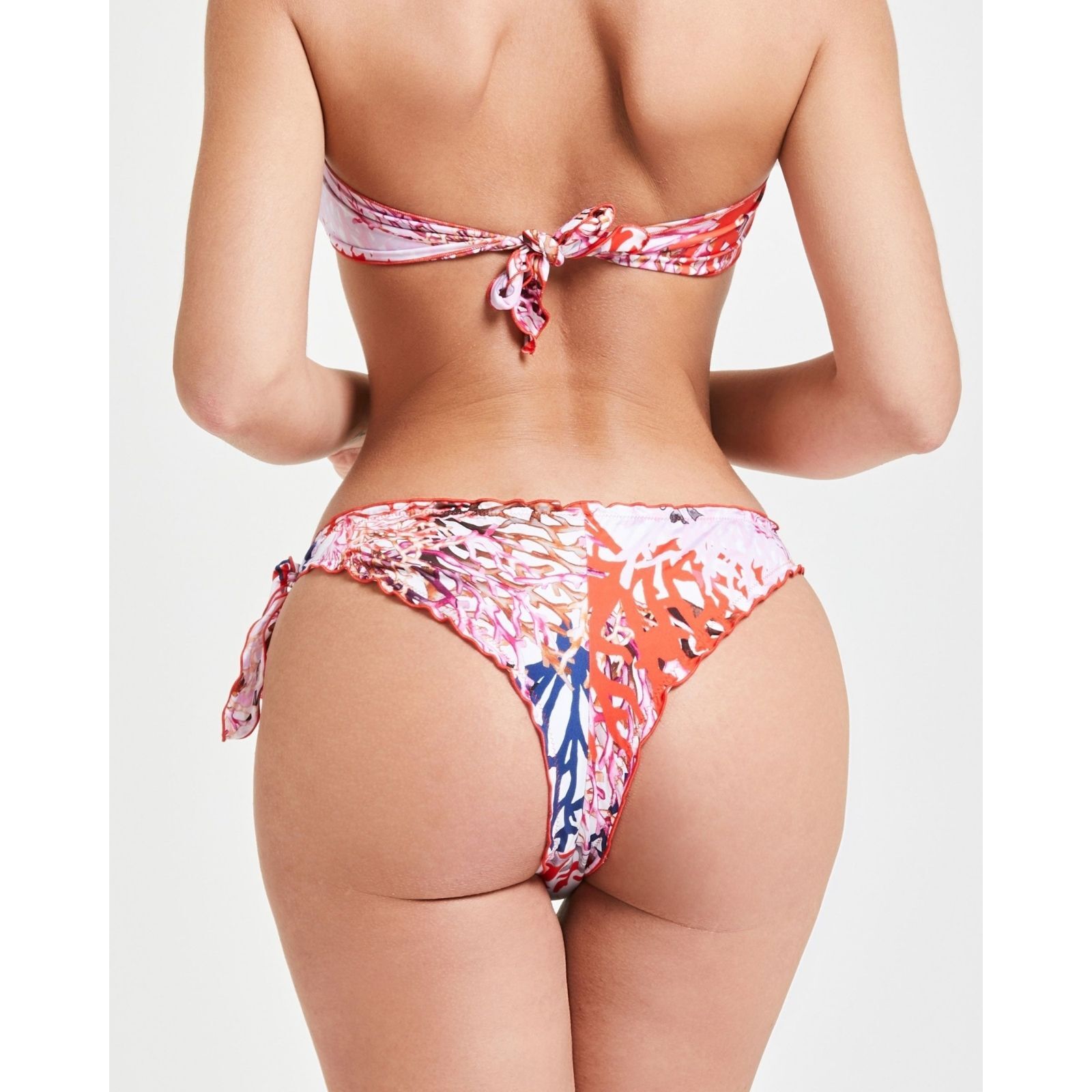 BRASILIANA SAMOTRACIA