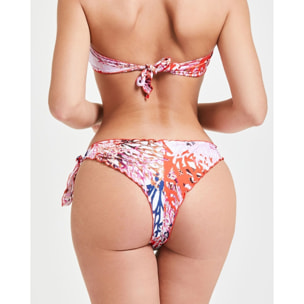 BRASILIANA SAMOTRACIA