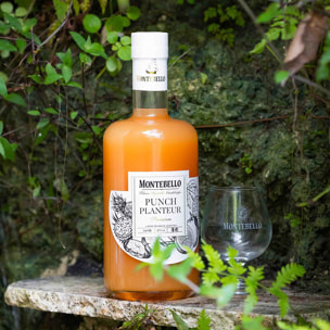Punch Planteur Montebello - Liqueur de Rhum Agricole de Guadeloupe | 18% vol | 70cl