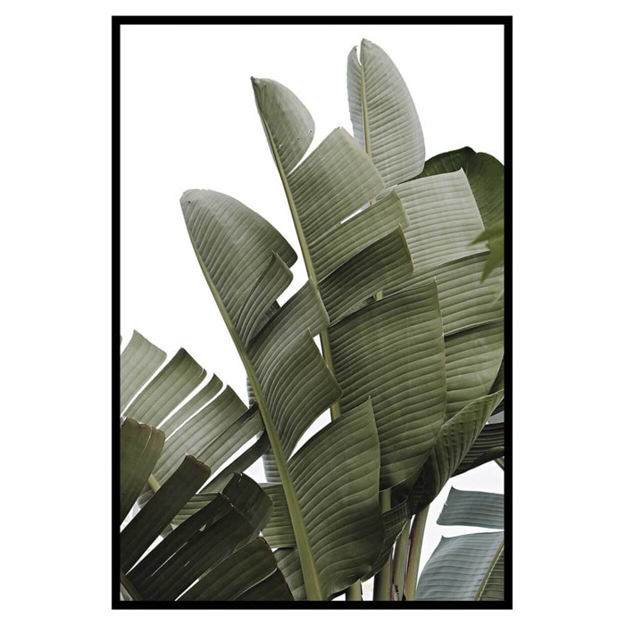Affiche encadrée feuilles tropicales vertes minimalistes Affiche + cadre en métal - Noir